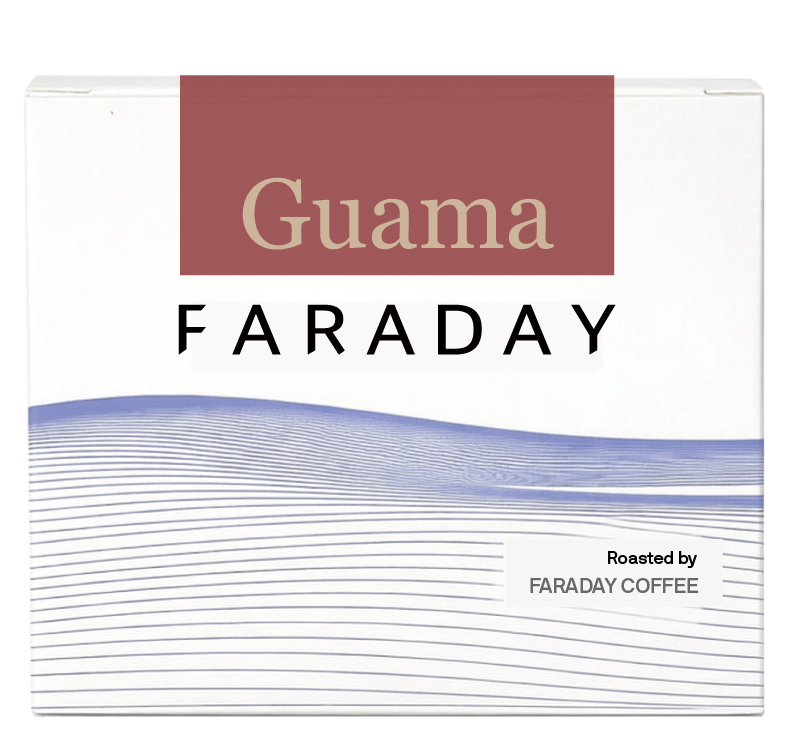 Kenya Guama Washed