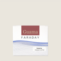 Kenya Guama Washed