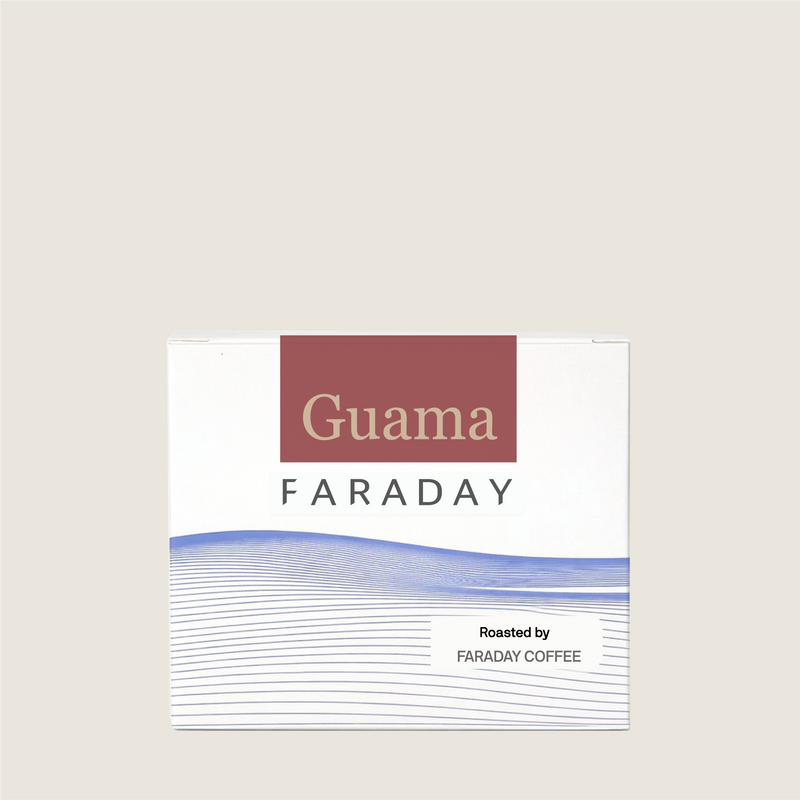 Kenya Guama Washed